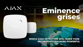 Which Ajax detectors will make the security system even stronger?