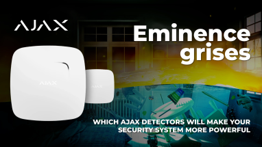 Which Ajax detectors will make the security system even stronger?